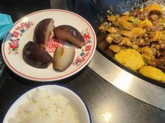 -高家小院铁锅炖大鹅(哈西高铁站店)