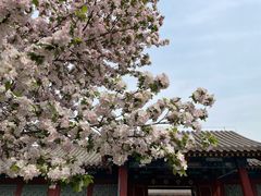 -恭王府博物馆