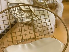 -糯米喵星人总部直营旗舰店·猫舍·幼猫出售