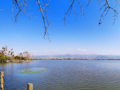 -西昌邛海湿地