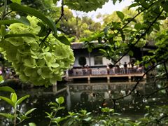 -惠山古镇·寄畅园