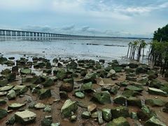 -宝安西湾红树林湿地公园