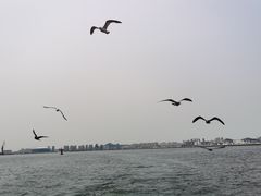 -星海广场