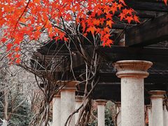 -凤凰沟景区