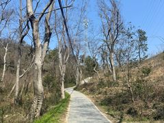 -青龙山国家森林公园