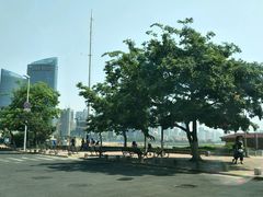 -青岛第三海水浴场