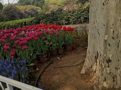 -福状元(优胜北路店)