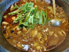 -都江堰石锅鱼