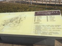 -东疆建设开发纪念公园