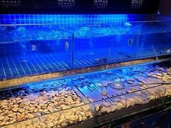 -蒙肥羊·酸汤潮牛·鲜牛肉火锅烤肉自助(岗顶店)