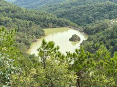 -广州白江湖森林公园