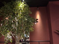 -同仁四季椰子鸡(海岸城天利店)