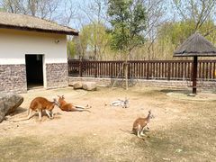 -苏州上方山国家森林公园