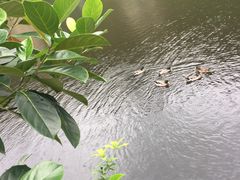 -茗荔园农庄(大涌店)
