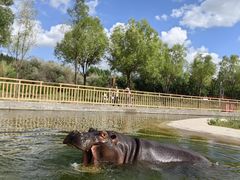 -鄂尔多斯野生动物园