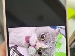 -瑞派康怡24h宠物医院·犬猫医疗中心·微创绝育(瑞景分院)