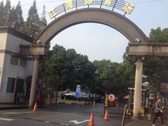 -江湾体育中心游泳馆