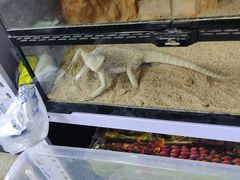 -三旗百汇商品城