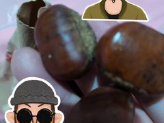 -栗满秋(燕丰西坝河店)