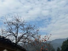 -杨家堂村
