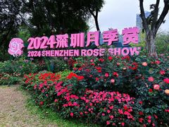 -人民公园(罗湖区)