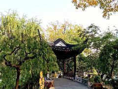 -和平公园