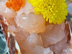 -矶野水产(澳门逸园中心店)