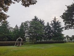 -上海市保健医疗中心