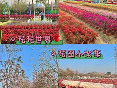 -盈香心动乐园