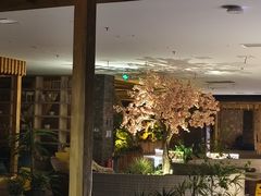 -东方之珠洗浴休闲广场(南开店)
