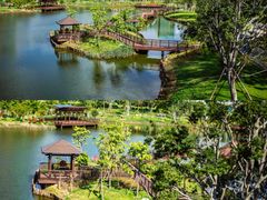 -王借岗森林公园