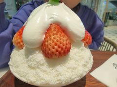 夏珊瑚-丹礼糖甜品
