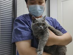 -伟伟宠物医院·CT影像中心·瑞派犬猫综合性门诊(汉口总院)