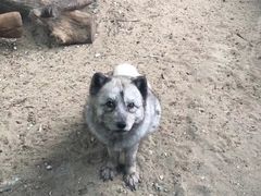 -无锡动物园·太湖欢乐园