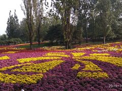 -北京植物园-展览温室