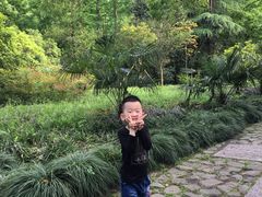 -法云古村
