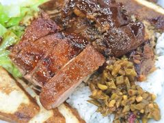 -瑞霖·隆江猪脚饭