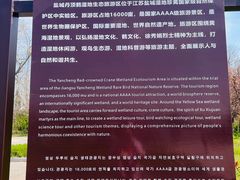 -盐城丹顶鹤湿地生态旅游区