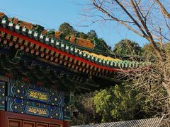 -香山公园