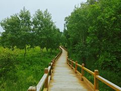 -塞罕坝国家级自然保护区