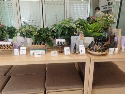 点击看大图 -dōTERRA多特瑞精油生活馆