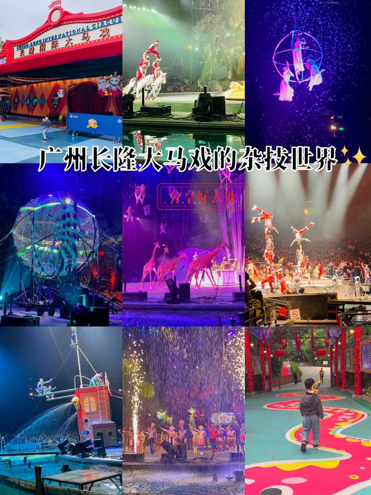 🎭广州长隆大马戏:一场震撼视听的奇幻之旅