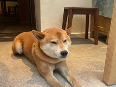 -三目仓咖啡(贤南路店)
