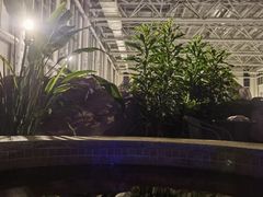 -中家鑫园温泉酒店鑫悦汤泉