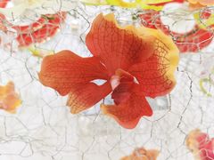 -芷兰汀艺术概念餐厅