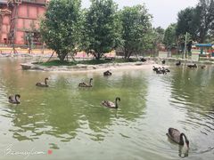 -广州融创文旅城