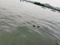-老头儿油爆虾·1987杭州烟火味(湖滨银泰in77D区店)