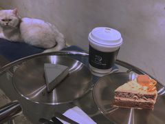 -浣熊柯尔鸭土拨鼠·电玩咖