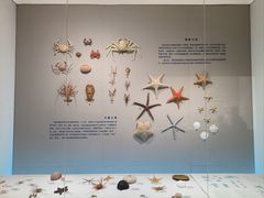 -观旗宾馆(北京天安门广场店)