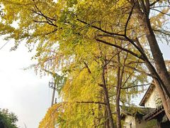 -两江幸福广场